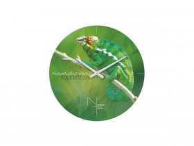 Часы настенные Nicole Time NT503 в Покровске - pokrovsk.mebel-nsk.ru | фото